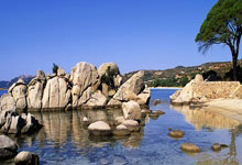 2018俄罗斯世界杯比分一览表都藏着哪些精彩故事？